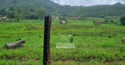 Fazenda à Venda 100 hectares Lavoura Café e Pecuária | Santa Rita do Sapucaí/MG Fazenda à Venda 100 hectares Lavoura Café e Pecuária | Santa Rita do Sapucaí/MG