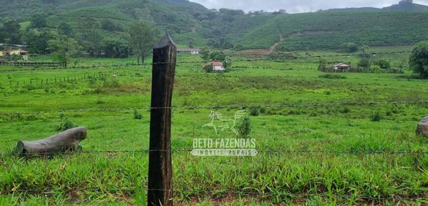 Fazenda à Venda 100 hectares Lavoura Café e Pecuária | Santa Rita do Sapucaí/MG Fazenda à Venda 100 hectares Lavoura Café e Pecuária | Santa Rita do Sapucaí/MG
