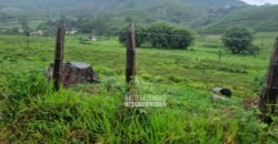 Fazenda à Venda 100 hectares Lavoura Café e Pecuária | Santa Rita do Sapucaí/MG Fazenda à Venda 100 hectares Lavoura Café e Pecuária | Santa Rita do Sapucaí/MG