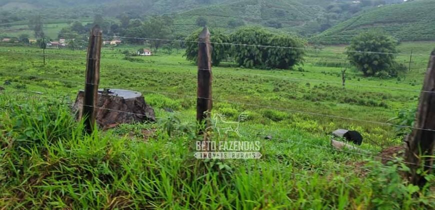 Fazenda à Venda 100 hectares Lavoura Café e Pecuária | Santa Rita do Sapucaí/MG Fazenda à Venda 100 hectares Lavoura Café e Pecuária | Santa Rita do Sapucaí/MG