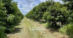 Fazenda à Venda 85,7 Hectares Diversas Culturas de Lavoura | Matias Cardoso/MG
