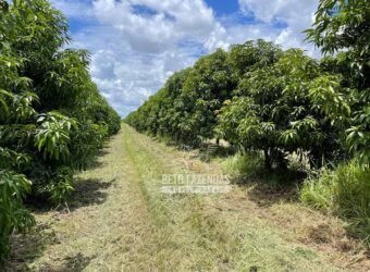 Fazenda à Venda 85,7 Hectares Diversas Culturas de Lavoura | Matias Cardoso/MG Fazenda à Venda 85,7 Hectares Diversas Culturas de Lavoura | Matias Cardoso/MG