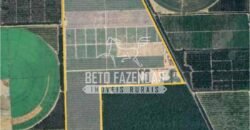 Fazenda à Venda 85,7 Hectares Diversas Culturas de Lavoura | Matias Cardoso/MG