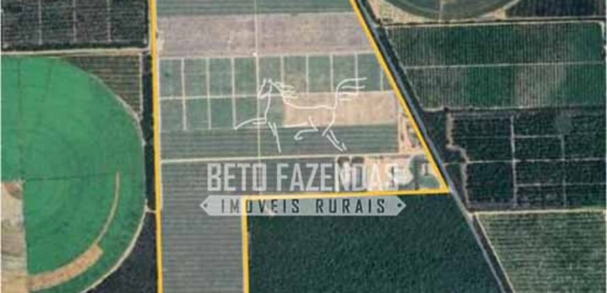 Fazenda à Venda 85,7 Hectares Diversas Culturas de Lavoura | Matias Cardoso/MG