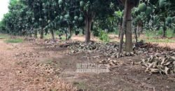 Fazenda à Venda 85,7 Hectares Diversas Culturas de Lavoura | Matias Cardoso/MG