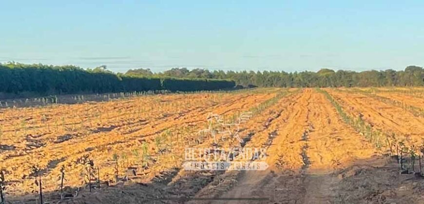 Fazenda à Venda 85,7 Hectares Diversas Culturas de Lavoura | Matias Cardoso/MG