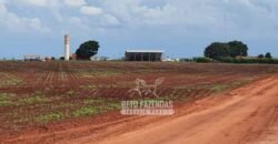 Fazenda Produtiva e Completa à Venda com 1.328 hectares | Região de Dourados/MS