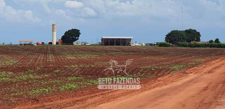 Fazenda Produtiva e Completa à Venda com 1.328 hectares | Região de Dourados/MS