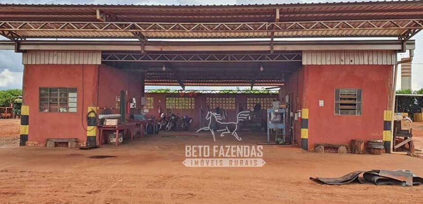 Fazenda Produtiva e Completa à Venda com 1.328 hectares | Região de Dourados/MS