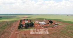 Fazenda Produtiva e Completa à Venda com 1.328 hectares | Região de Dourados/MS