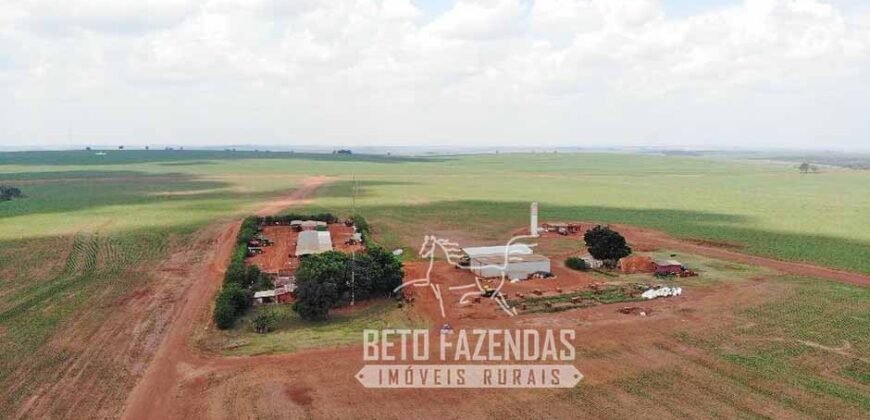 Fazenda Produtiva e Completa à Venda com 1.328 hectares | Região de Dourados/MS