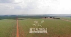 Fazenda Produtiva e Completa à Venda com 1.328 hectares | Região de Dourados/MS