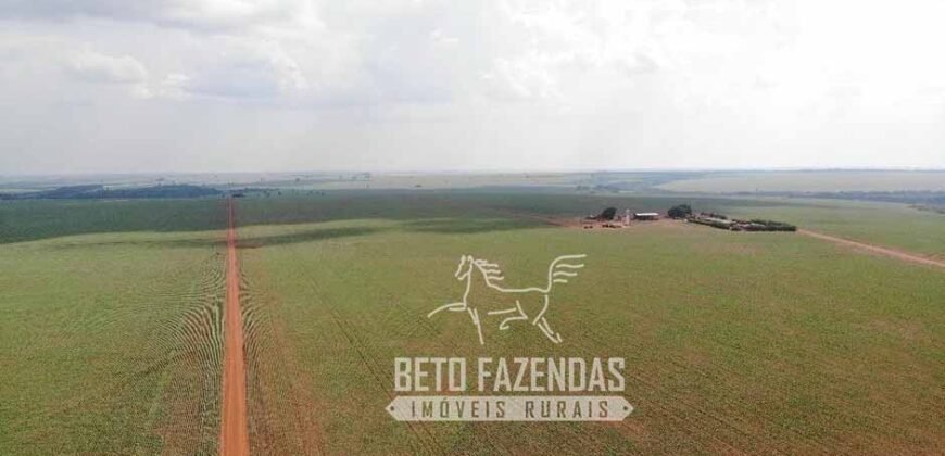 Fazenda Produtiva e Completa à Venda com 1.328 hectares | Região de Dourados/MS