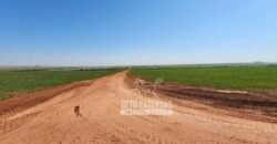 Fazenda Produtiva e Completa à Venda com 1.328 hectares | Região de Dourados/MS
