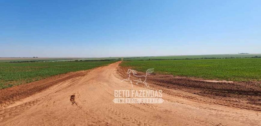 Fazenda Produtiva e Completa à Venda com 1.328 hectares | Região de Dourados/MS