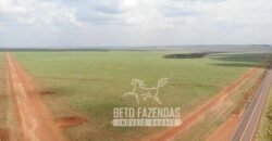 Fazenda Produtiva e Completa à Venda com 1.328 hectares | Região de Dourados/MS