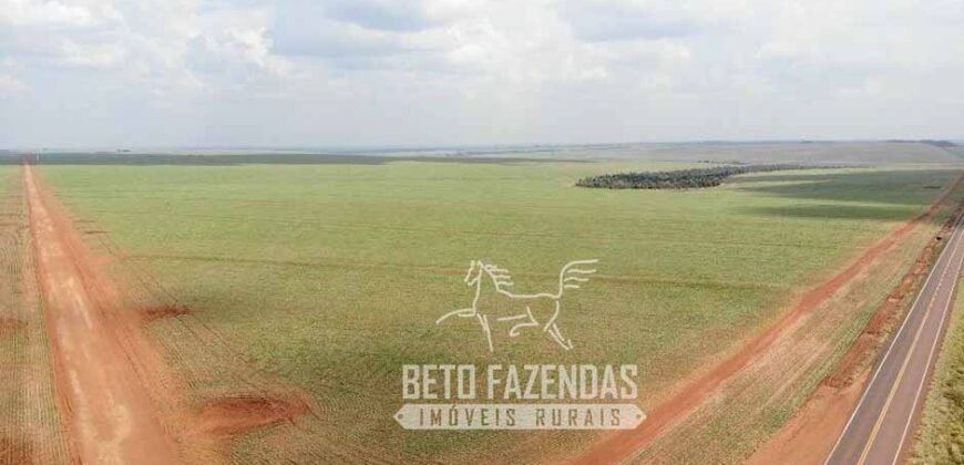 Fazenda Produtiva e Completa à Venda com 1.328 hectares | Região de Dourados/MS