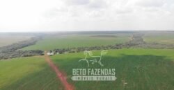 Fazenda Produtiva e Completa à Venda com 1.328 hectares | Região de Dourados/MS