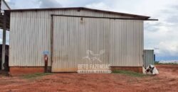 Fazenda Produtiva e Completa à Venda com 1.328 hectares | Região de Dourados/MS