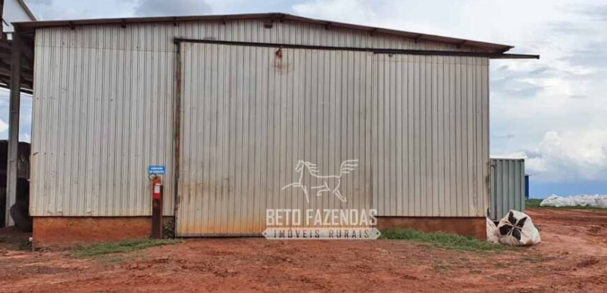 Fazenda Produtiva e Completa à Venda com 1.328 hectares | Região de Dourados/MS