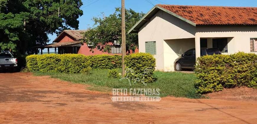 Fazenda Produtiva e Completa à Venda com 1.328 hectares | Região de Dourados/MS