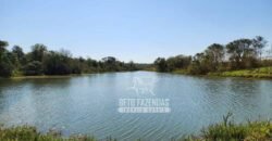 Fazenda Produtiva e Completa à Venda com 1.328 hectares | Região de Dourados/MS