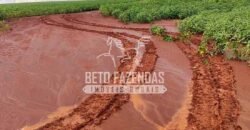 Fazenda Produtiva e Completa à Venda com 1.328 hectares | Região de Dourados/MS