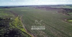 Fazenda Produtiva à Venda 9.128 ha com Alta Rentabilidade | Dourados/ MS