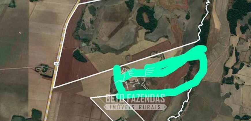 Fazenda Produtiva à Venda 9.128 ha com Alta Rentabilidade | Dourados/ MS