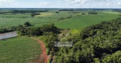 Fazenda Produtiva à Venda 9.128 ha com Alta Rentabilidade | Dourados/ MS