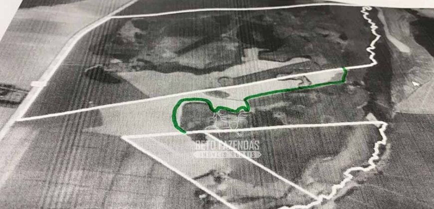 Fazenda Produtiva à Venda 9.128 ha com Alta Rentabilidade | Dourados/ MS