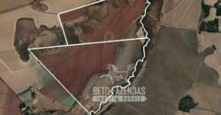 Fazenda Produtiva à Venda 9.128 ha com Alta Rentabilidade | Dourados/ MS