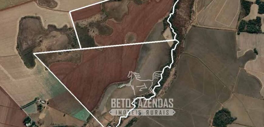 Fazenda Produtiva à Venda 9.128 ha com Alta Rentabilidade | Dourados/ MS