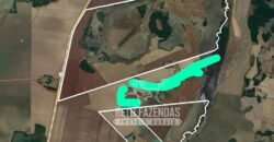 Fazenda Produtiva à Venda 9.128 ha com Alta Rentabilidade | Dourados/ MS