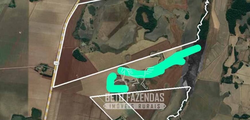 Fazenda Produtiva à Venda 9.128 ha com Alta Rentabilidade | Dourados/ MS