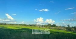 Fazenda Produtiva à Venda 9.128 ha com Alta Rentabilidade | Dourados/ MS