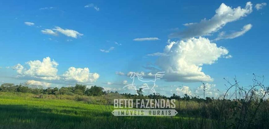 Fazenda Produtiva à Venda 9.128 ha com Alta Rentabilidade | Dourados/ MS