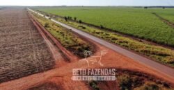 Fazenda Produtiva à Venda 9.128 ha com Alta Rentabilidade | Dourados/ MS