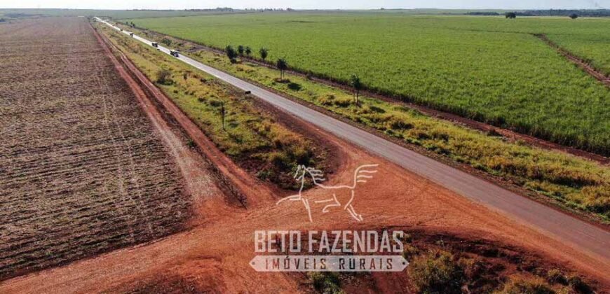 Fazenda Produtiva à Venda 9.128 ha com Alta Rentabilidade | Dourados/ MS