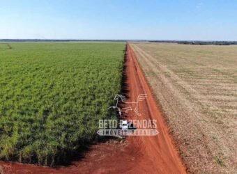 Fazenda Produtiva à Venda 9.128 ha com Alta Rentabilidade | Dourados/ MS