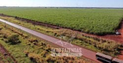 Fazenda Produtiva à Venda 9.128 ha com Alta Rentabilidade | Dourados/ MS