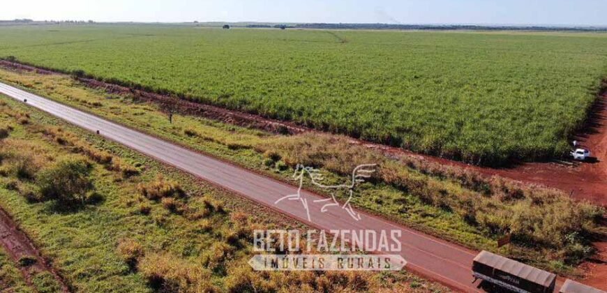 Fazenda Produtiva à Venda 9.128 ha com Alta Rentabilidade | Dourados/ MS