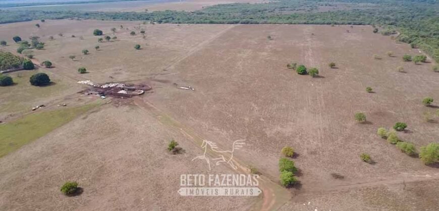 Venda de Fazenda 33.000 Has Lavoura e Pecuária Logística e Armazenamento | Porto Alegre do Norte/MT