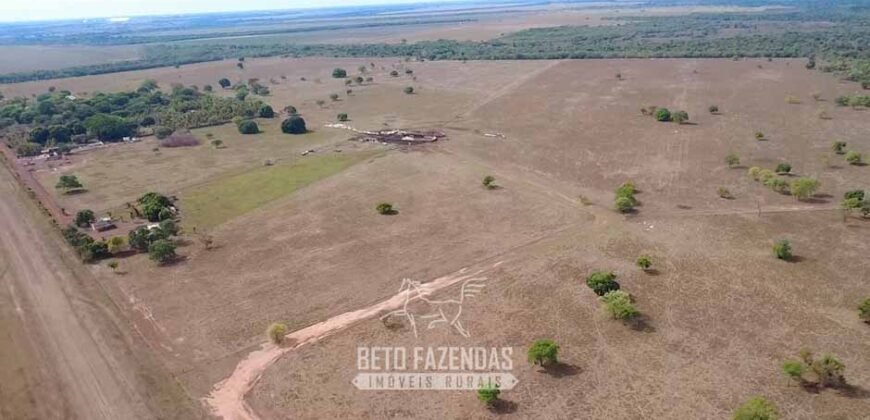 Venda de Fazenda 33.000 Has Lavoura e Pecuária Logística e Armazenamento | Porto Alegre do Norte/MT