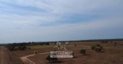 Venda de Fazenda 33.000 Has Lavoura e Pecuária Logística e Armazenamento | Porto Alegre do Norte/MT