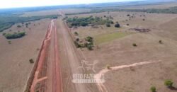 Venda de Fazenda 33.000 Has Lavoura e Pecuária Logística e Armazenamento | Porto Alegre do Norte/MT