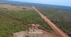 Venda de Fazenda 33.000 Has Lavoura e Pecuária Logística e Armazenamento | Porto Alegre do Norte/MT