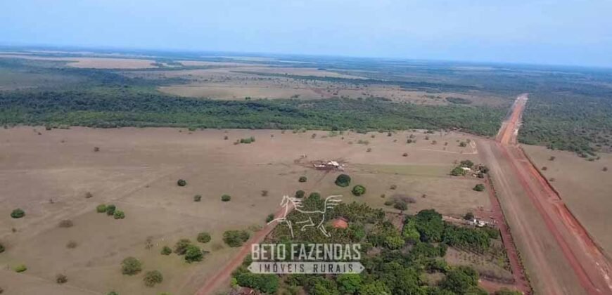 Venda de Fazenda 33.000 Has Lavoura e Pecuária Logística e Armazenamento | Porto Alegre do Norte/MT