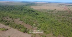 Venda de Fazenda 33.000 Has Lavoura e Pecuária Logística e Armazenamento | Porto Alegre do Norte/MT