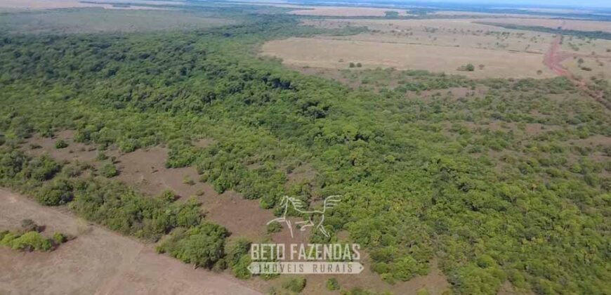Venda de Fazenda 33.000 Has Lavoura e Pecuária Logística e Armazenamento | Porto Alegre do Norte/MT